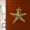 5" Star Fish Brass Door Knocker DK-008 | Brass Antique Finish Door Knocker |Sea Star Knocker |Marine Star Knocker