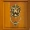 medium-lion-brass-door-knocker-shivarika-manufacturers-exporters