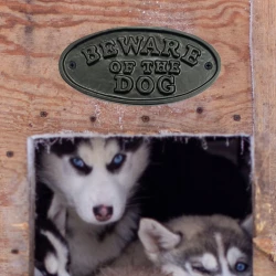 7cm-cast-iron-letter-plate-cids005-cast-iron-door-plate-cast-iron-door-sine-plate-cast-iron-black-powder-coating-letter-plate-shivarika-manufacturers-exporters