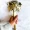 advanzo-handcrafted-tuskar-ganesha-brass-door-handle-11inch-antique-finish-for-main-door-pooja-room-decorative-use-advanzo